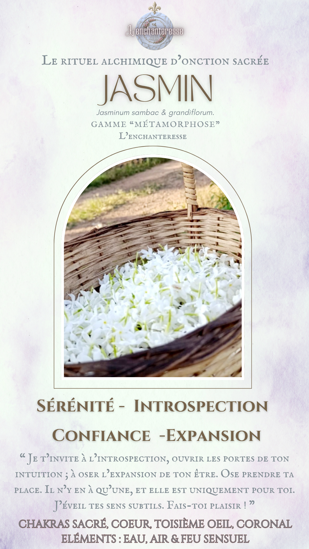 Jasmin