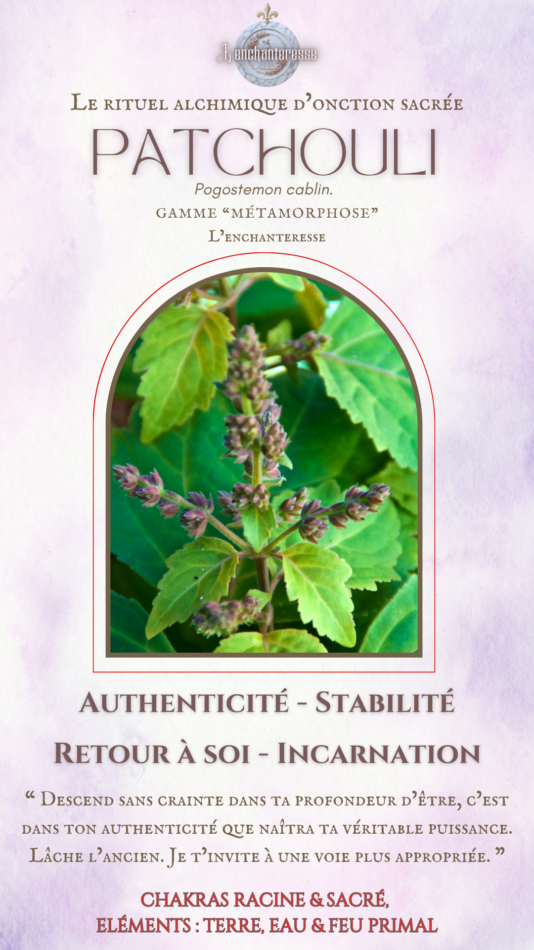 Patchouli
