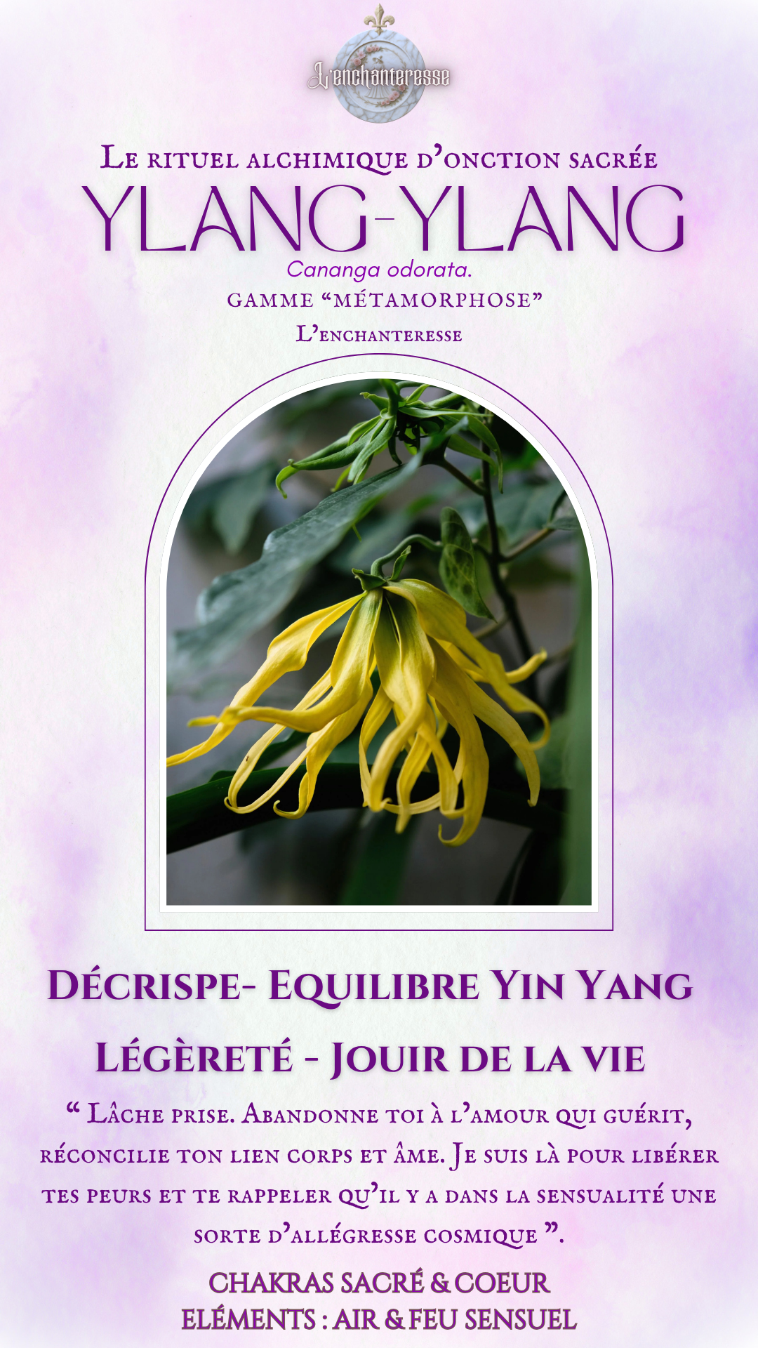 Ylang-Ylang